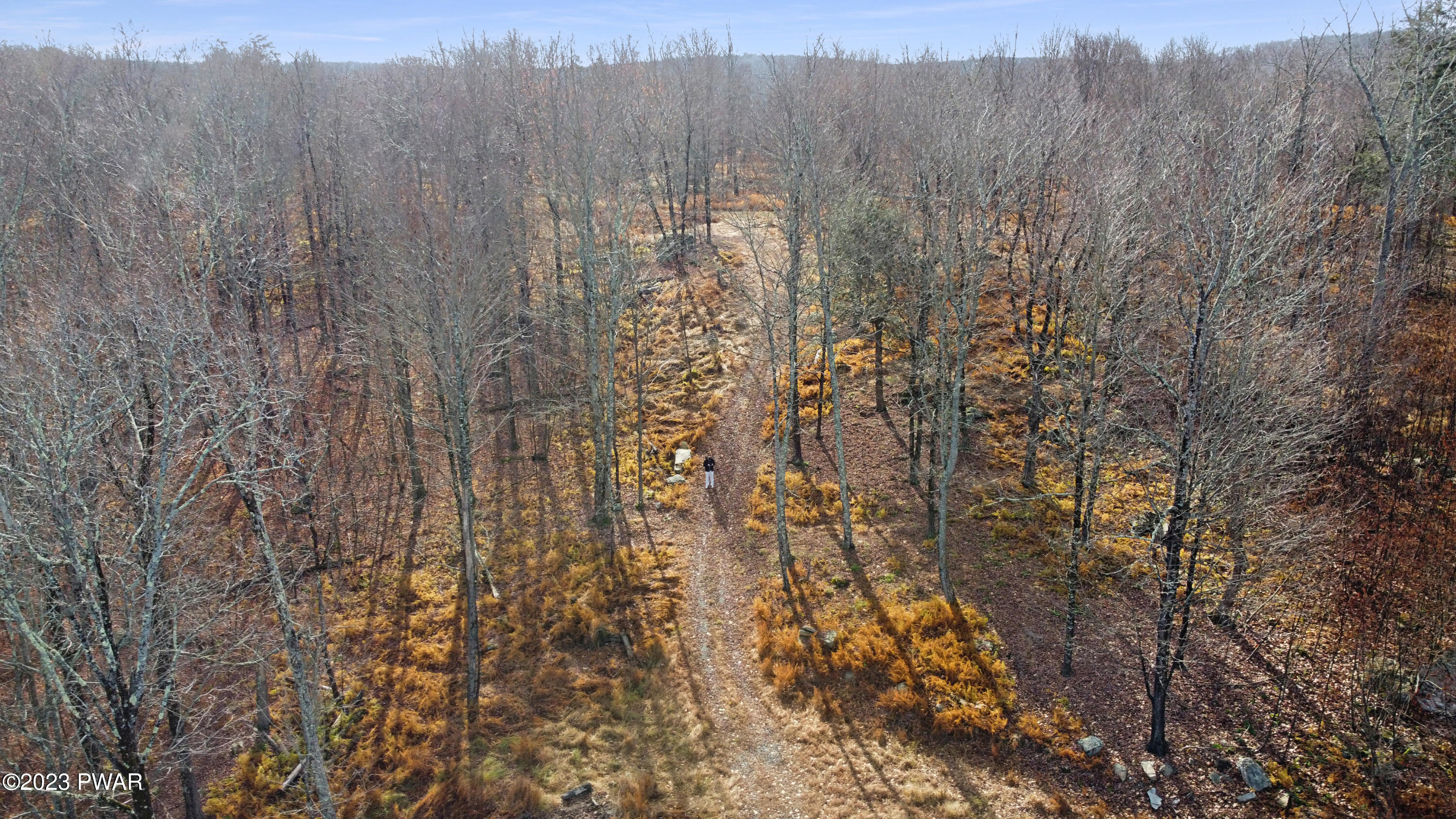 Lakeview Road Greentown, PA 18426 - Photo 6 of 13