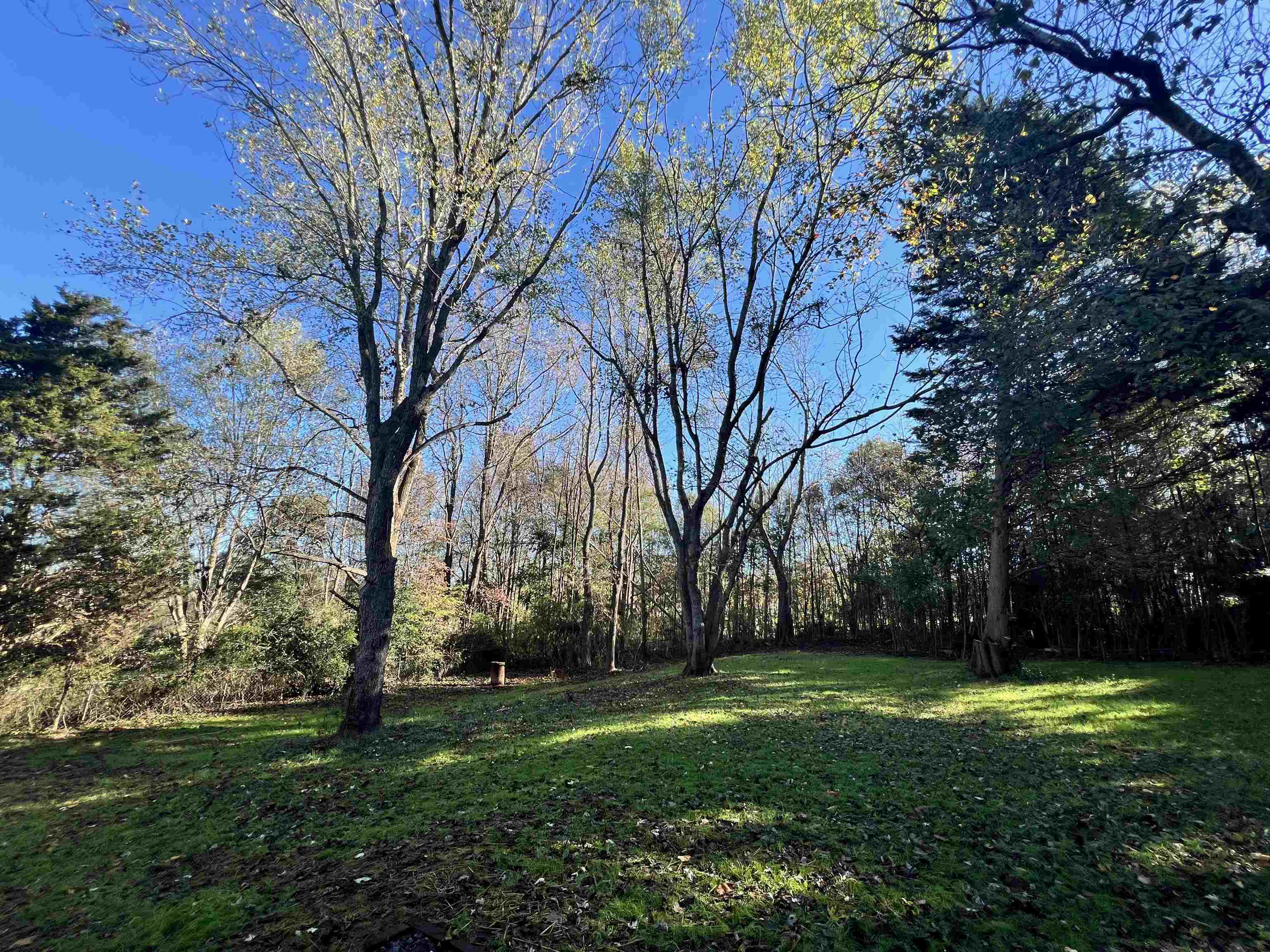 34 Nesbitt Drive Inman, SC 29349 - Photo 45 of 45 Gallery Image 45