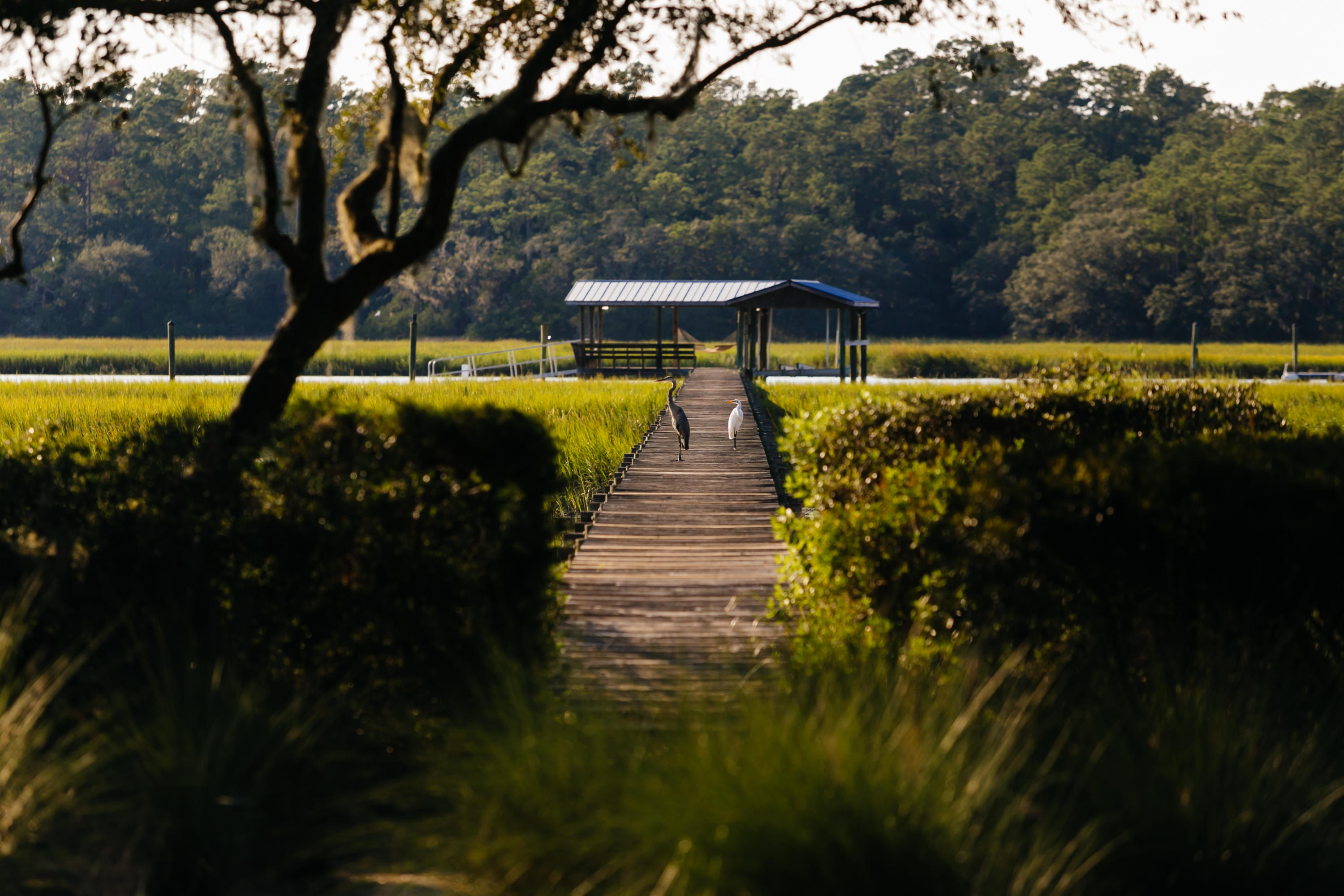 3424 Bohicket Road Johns Island, SC 29455 - Photo 5 of 46 Additional Photo