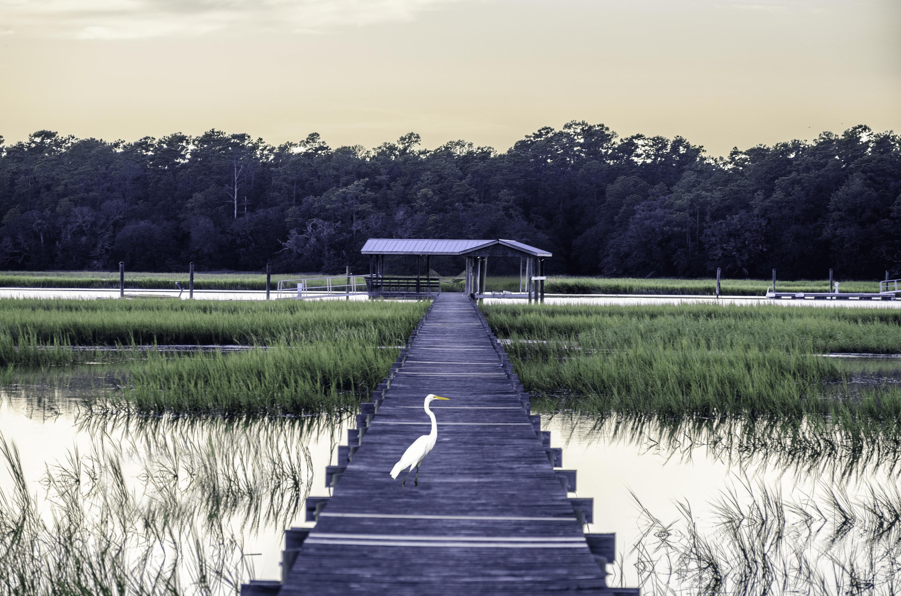 3424 Bohicket Road Johns Island, SC 29455 - Photo 43 of 46 Additional Photo