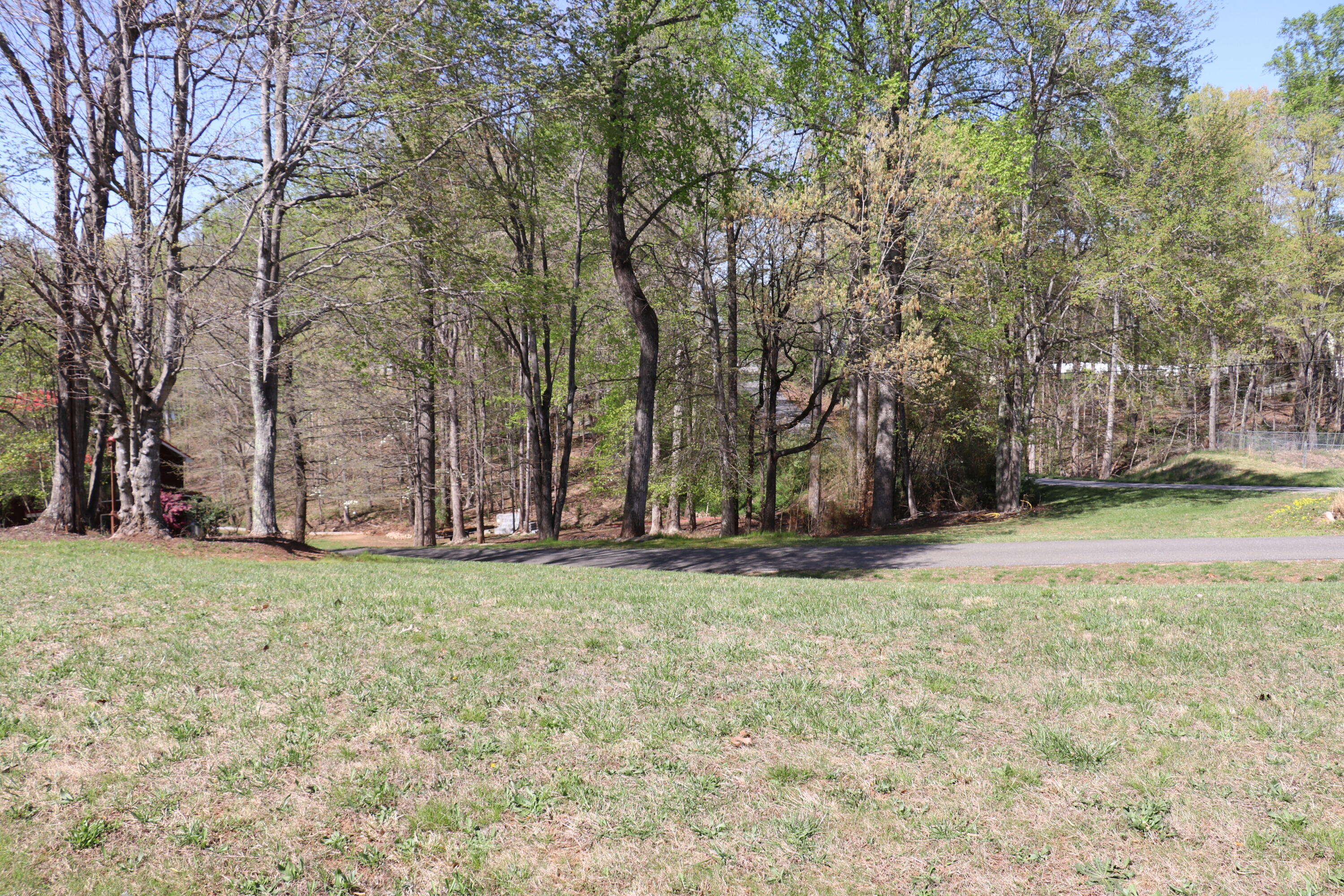 Lot 28 Scruggs Road Moneta, VA 24121 - Photo 3 of 4 View across street