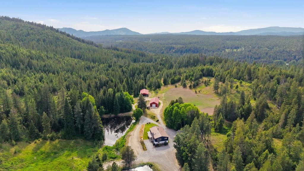1240 Doe Mdw Road Newport, WA 99156 - Photo 6 of 50