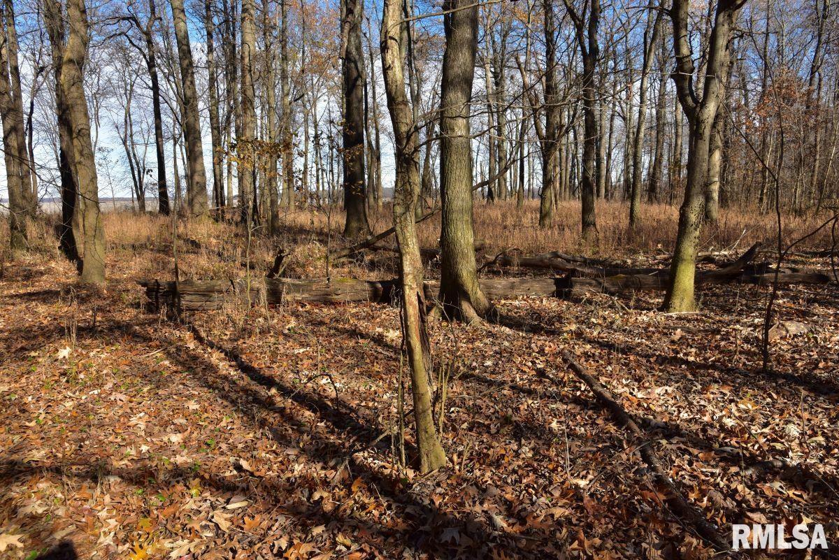 0 Round Pond Road Shawneetown, IL 62984 - Photo 20 of 31 Gallery Image 20