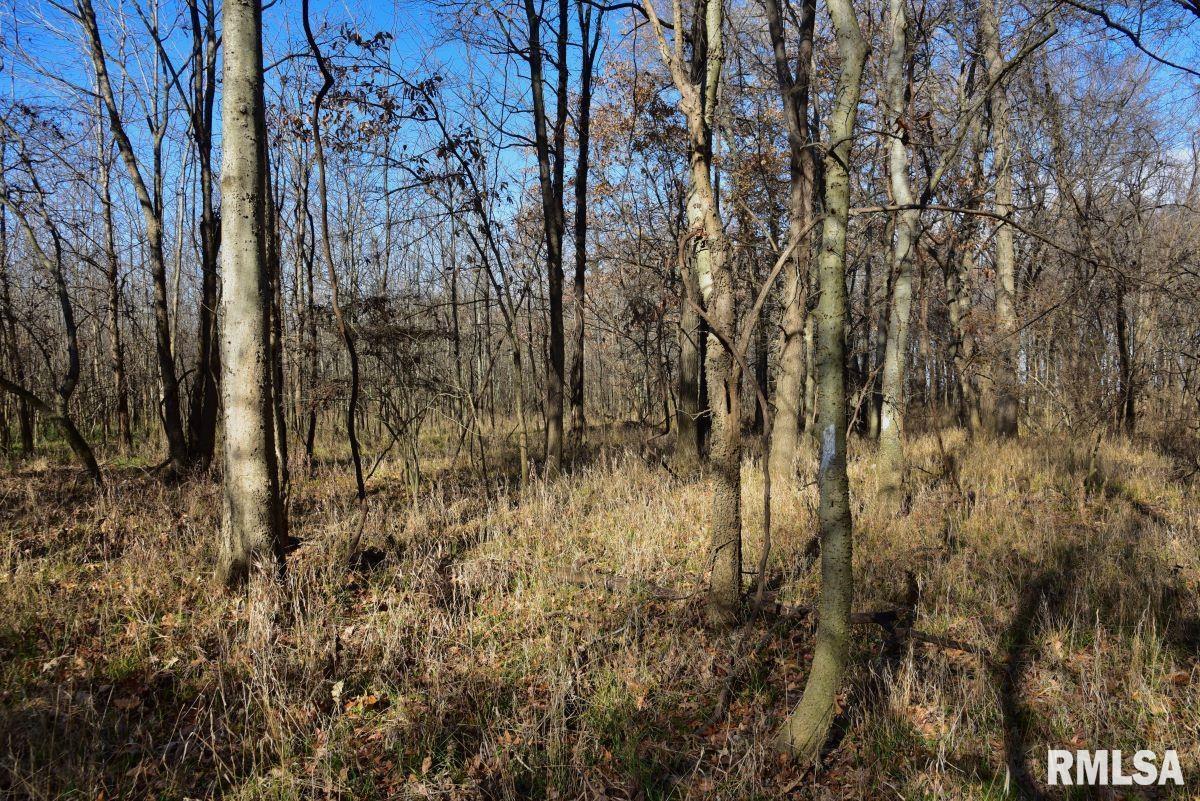 0 Round Pond Road Shawneetown, IL 62984 - Photo 21 of 31 Gallery Image 21