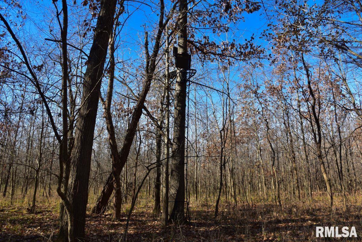 0 Round Pond Road Shawneetown, IL 62984 - Photo 22 of 31 Gallery Image 22