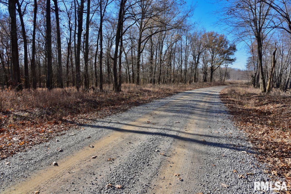 0 Round Pond Road Shawneetown, IL 62984 - Photo 30 of 31 Gallery Image 30