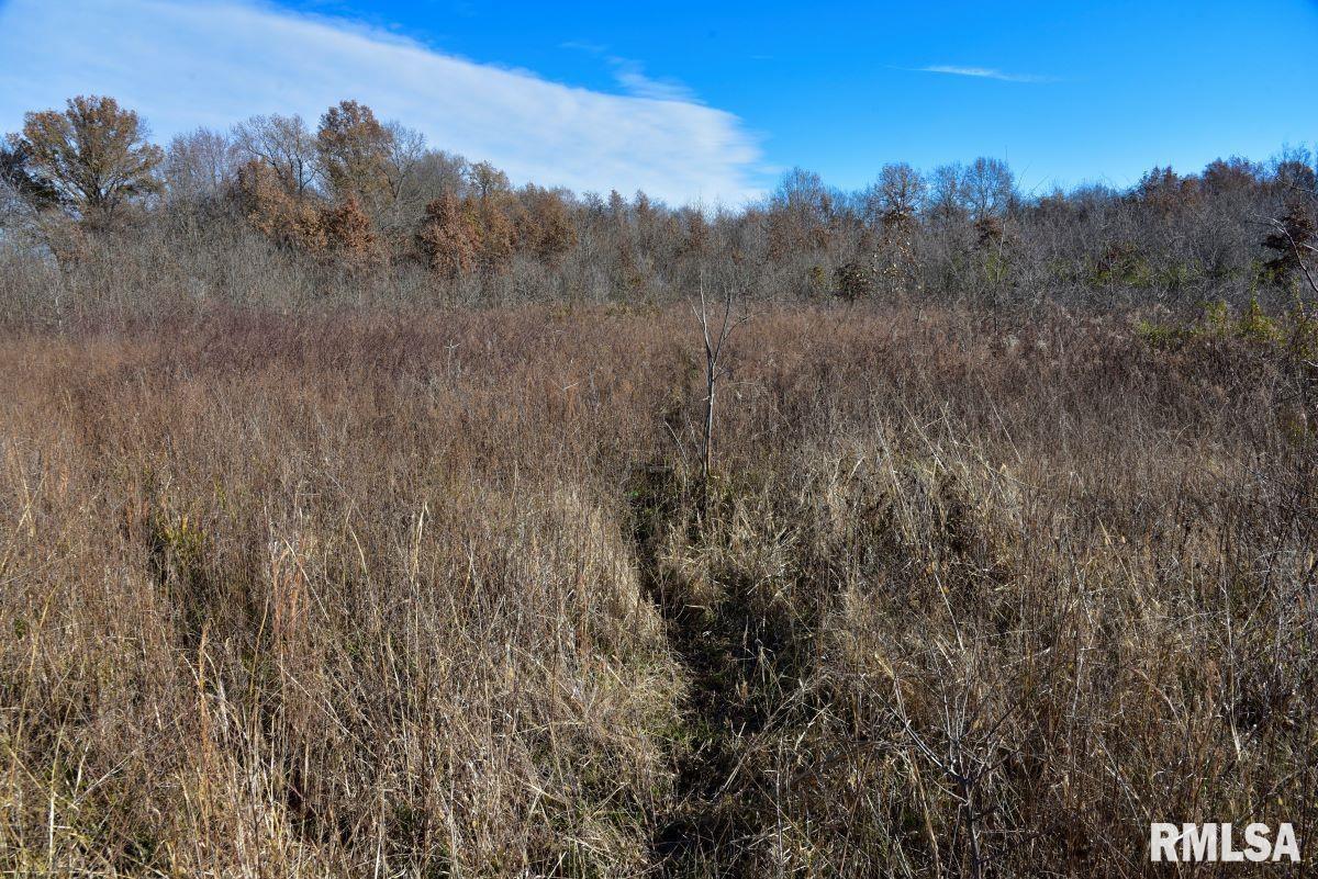 0 Round Pond Road Shawneetown, IL 62984 - Photo 8 of 31 Gallery Image 8