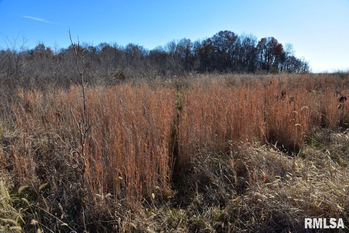 0 Round Pond Road Shawneetown, IL 62984 - Photo 10 of 31 Gallery Image 10