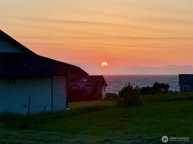 a view of a yard with an outdoor space