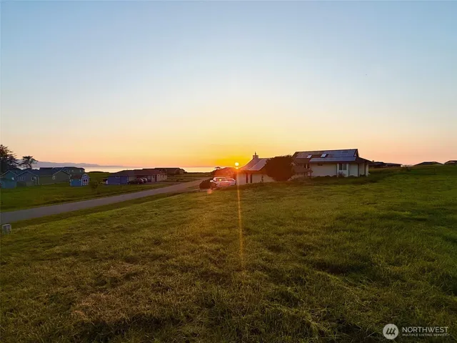 a view of a big yard