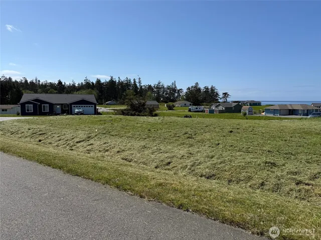 a view of a field with an ocean