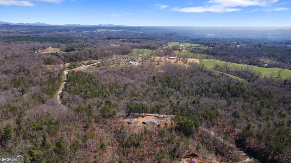 0 Afton Road, Unit 1 Marble Hill, GA 30534 - Photo 11 of 12 an aerial view of residential house and green space