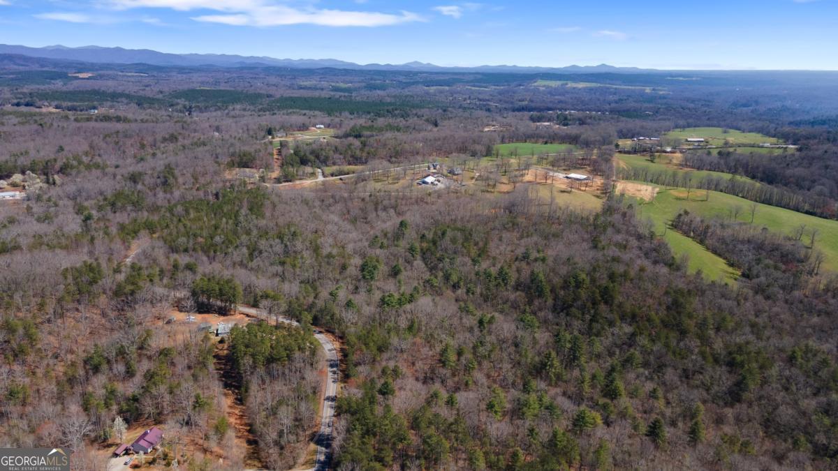 0 Afton Road, Unit 1 Marble Hill, GA 30534 - Photo 12 of 12 a view of city and mountain