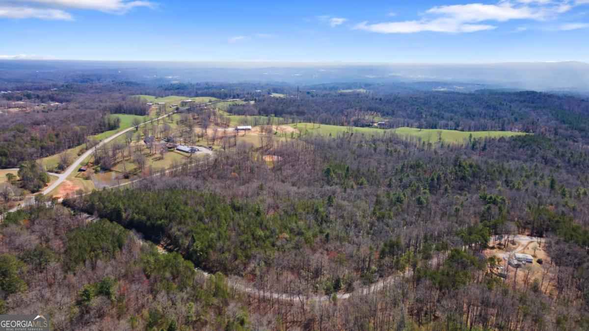 0 Afton Road, Unit 1 Marble Hill, GA 30534 - Photo 2 of 12 a view of a city with lush green forest
