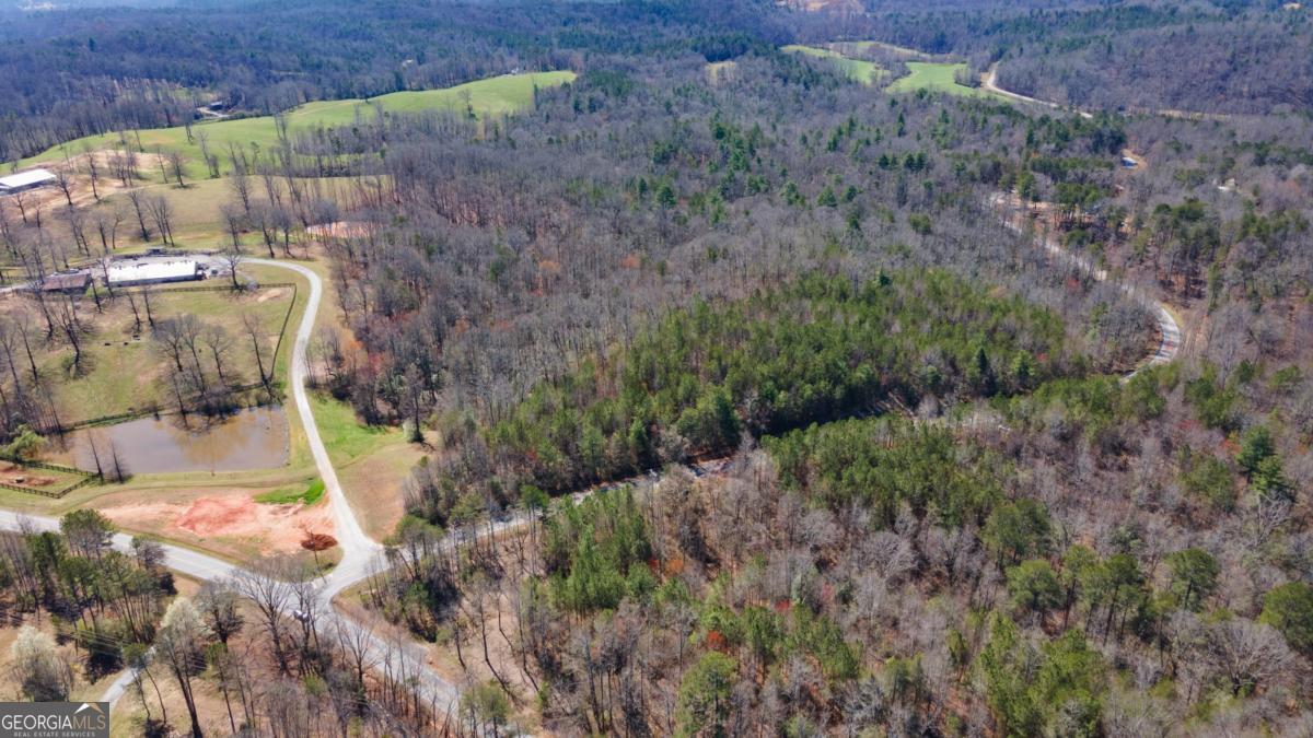 0 Afton Road, Unit 1 Marble Hill, GA 30534 - Photo 6 of 12 a view of outdoor space and yard