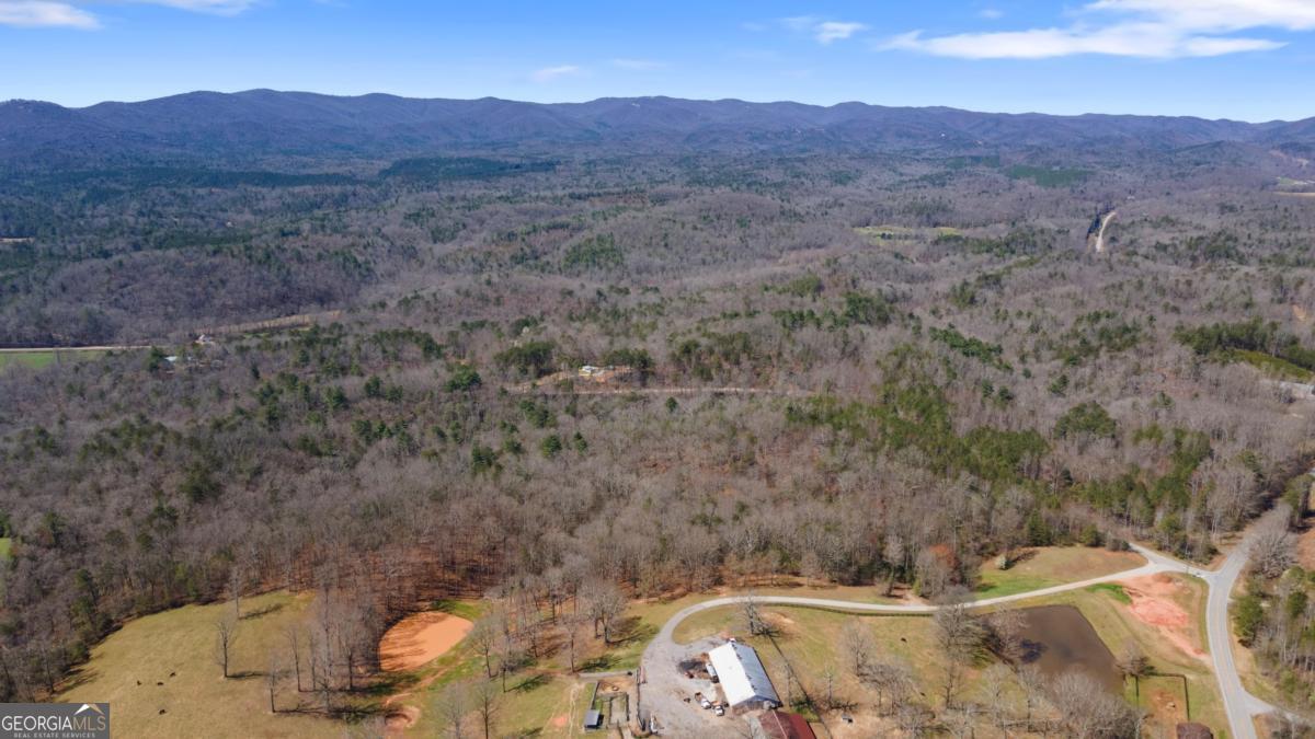 0 Afton Road, Unit 1 Marble Hill, GA 30534 - Photo 8 of 12 a view of a mountain with a yard