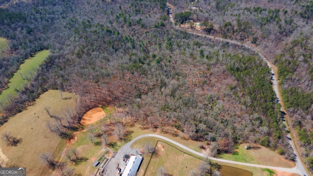 0 Afton Road, Unit 1 Marble Hill, GA 30534 - Photo 9 of 12 a view of a wooden wall with a tree