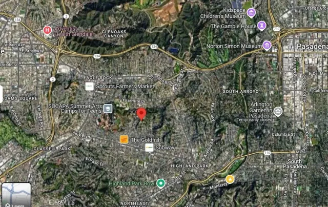 a view of a yard with plants