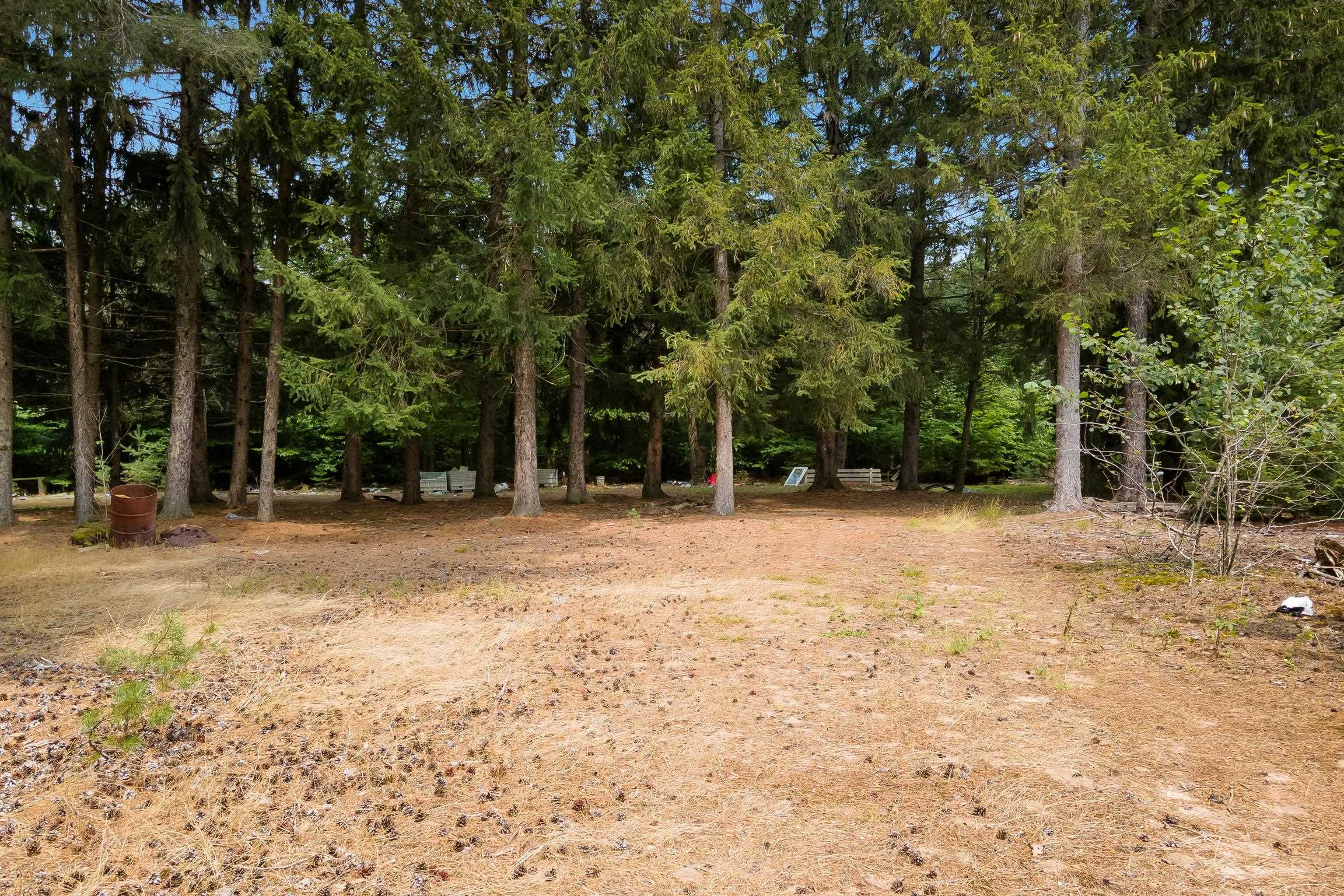 7830 Willis Road Benzonia, MI 49616 - Photo 4 of 19 Gallery Image 4