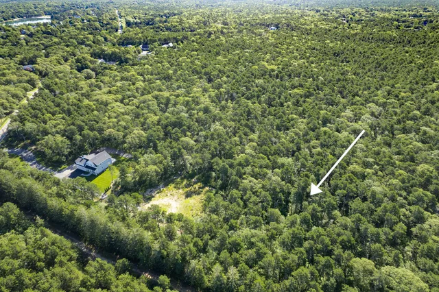 a view of a house with a lush green forest