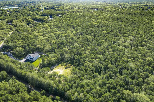 a view of a house with a lush green forest