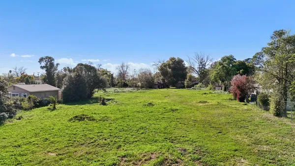 a view of a grassy field with trees
