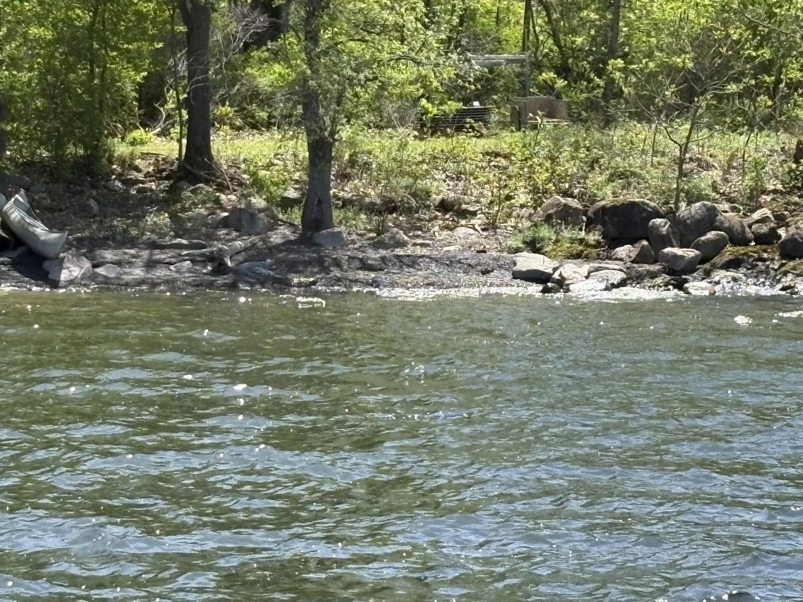 3625 Butler Island North Hero, VT 05474 - Photo 6 of 7