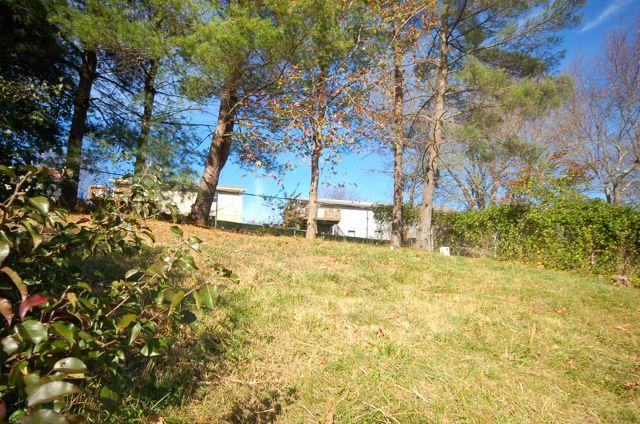 8347 Robin Lynn Road Roanoke, VA 24019 - Photo 11 of 18 BACK YARD