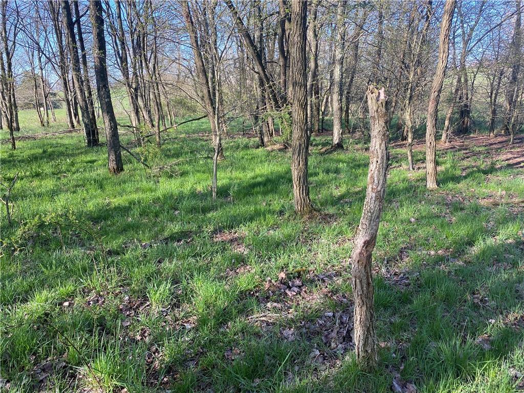 0 Buckstown Road Friedens, PA 15541 - Photo 12 of 25 Gallery Image 12