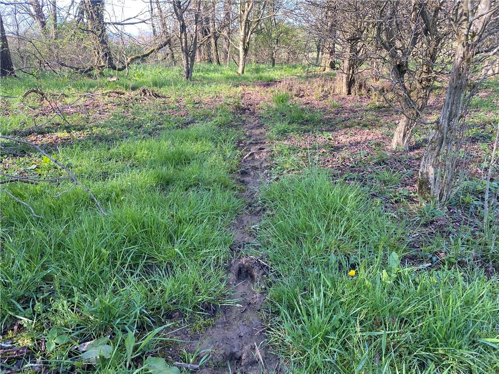 0 Buckstown Road Friedens, PA 15541 - Photo 13 of 25 Gallery Image 13