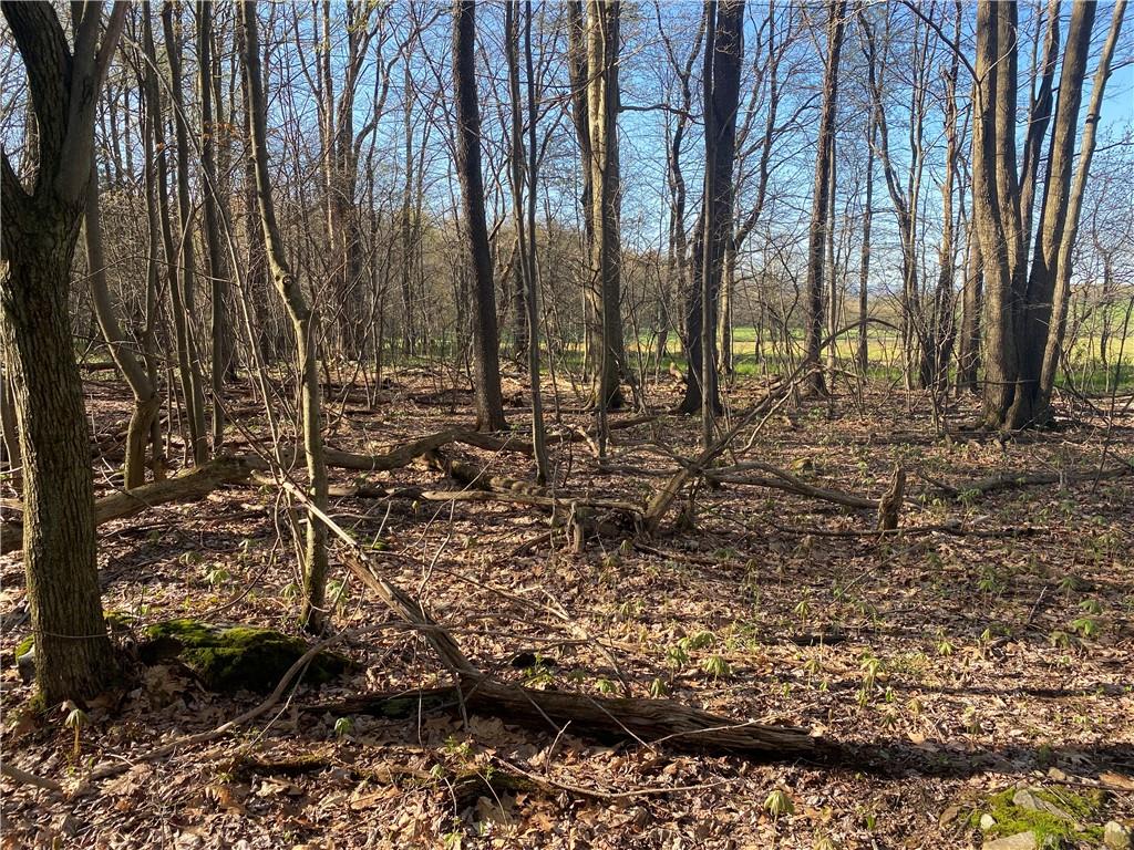 0 Buckstown Road Friedens, PA 15541 - Photo 17 of 25 Gallery Image 17