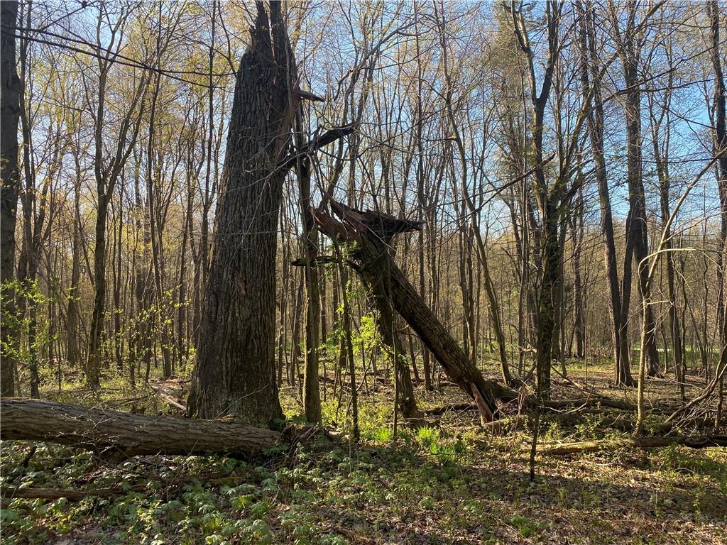 0 Buckstown Road Friedens, PA 15541 - Photo 19 of 25 Gallery Image 19