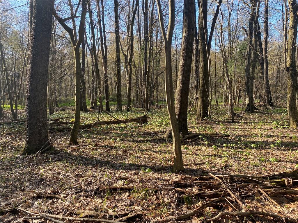 0 Buckstown Road Friedens, PA 15541 - Photo 20 of 25 Gallery Image 20
