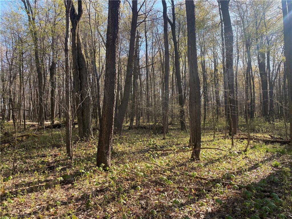 0 Buckstown Road Friedens, PA 15541 - Photo 21 of 25 Gallery Image 21