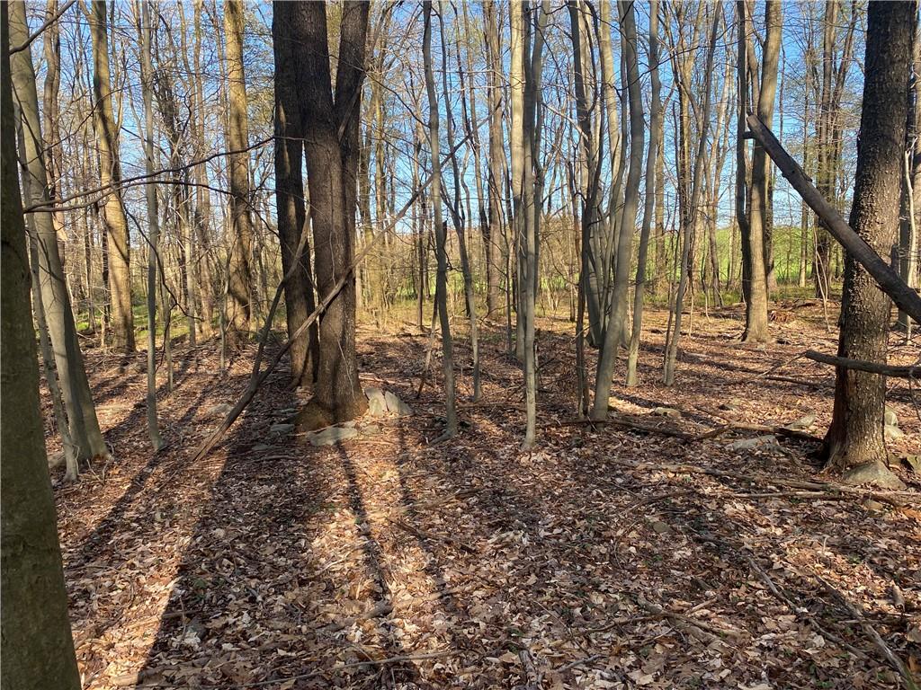 0 Buckstown Road Friedens, PA 15541 - Photo 22 of 25 Gallery Image 22