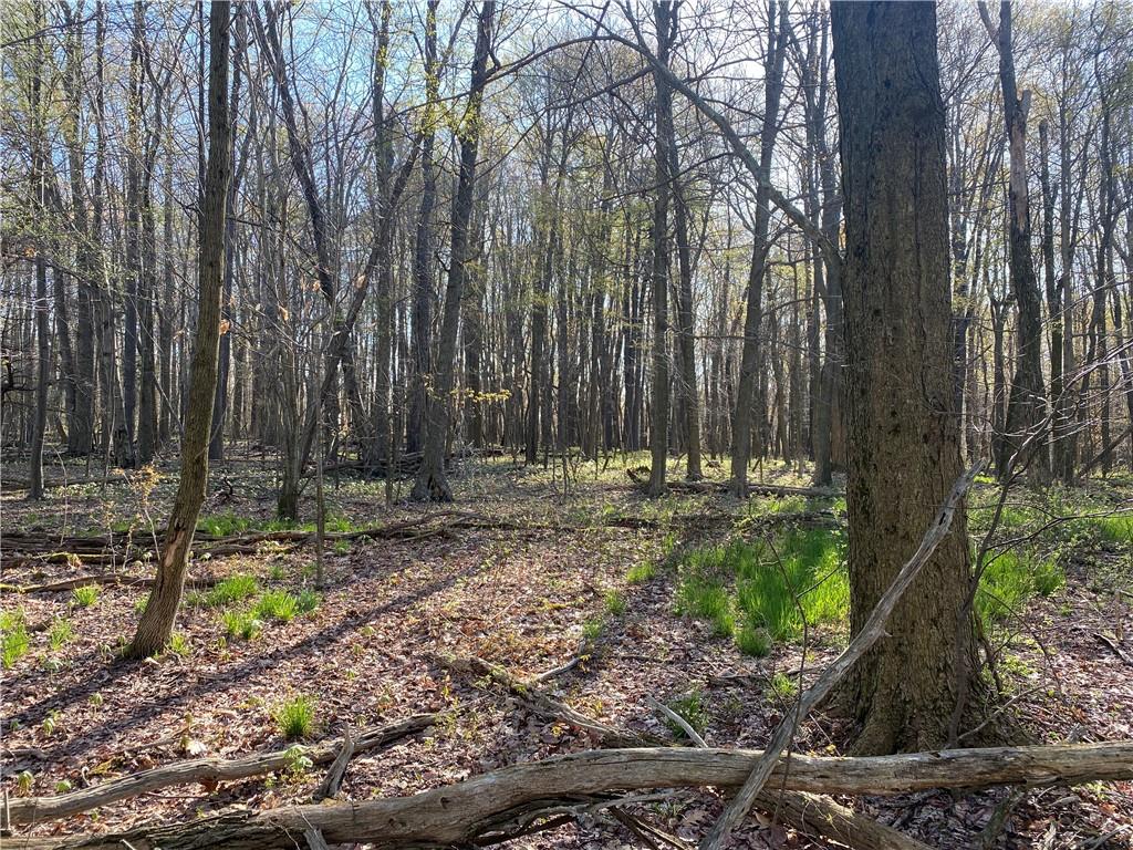 0 Buckstown Road Friedens, PA 15541 - Photo 23 of 25 Gallery Image 23