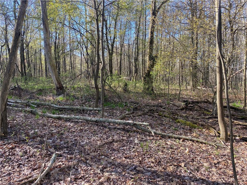 0 Buckstown Road Friedens, PA 15541 - Photo 24 of 25 Gallery Image 24
