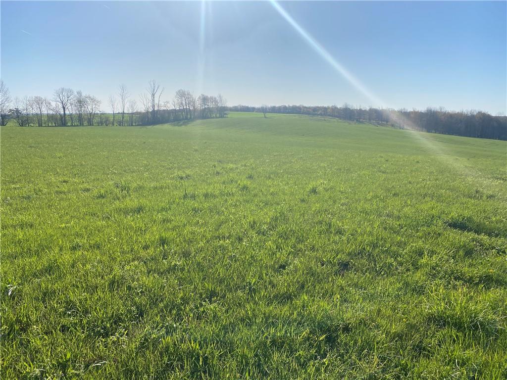 0 Buckstown Road Friedens, PA 15541 - Photo 4 of 25 Gallery Image 4