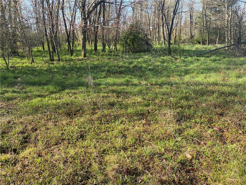 0 Buckstown Road Friedens, PA 15541 - Photo 10 of 25 Gallery Image 10