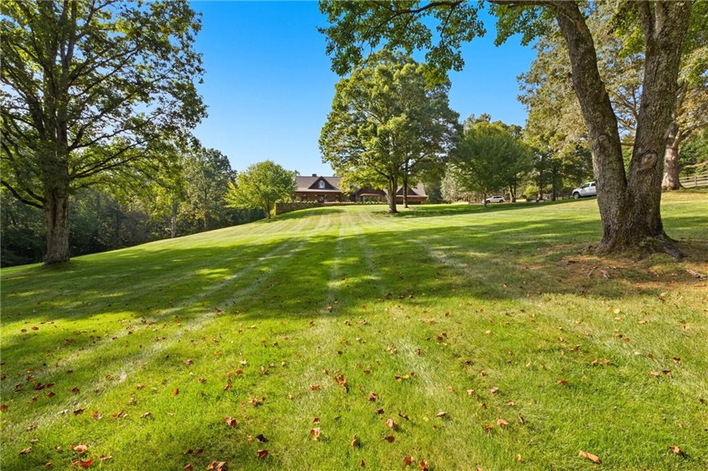 1091 Echota Road Clarkesville, GA 30523 - Photo 76 of 81