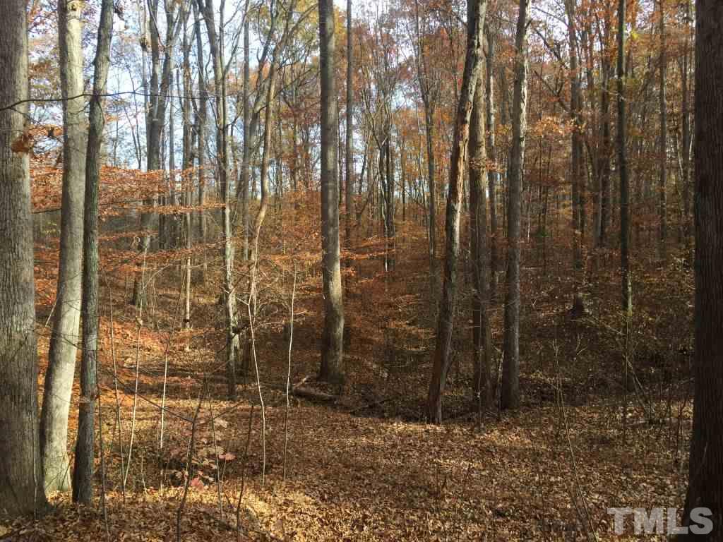 Bethesda Church Cemetery Road Ruffin, NC 27326 - Photo 3 of 12 Gallery Image 3
