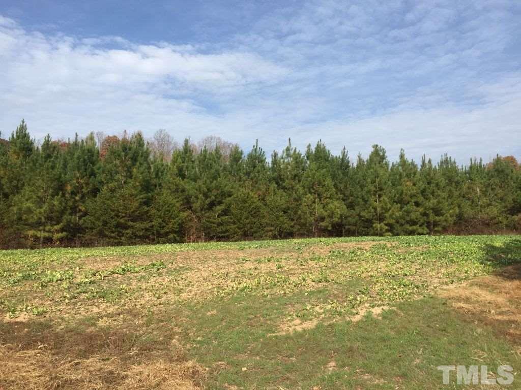 Bethesda Church Cemetery Road Ruffin, NC 27326 - Photo 10 of 12 Gallery Image 10