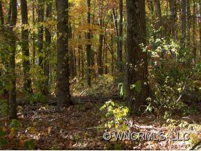 79 Indian Trail Road, Unit 6 Candler, NC 28715 - Photo 4 of 5 Gallery Image 4