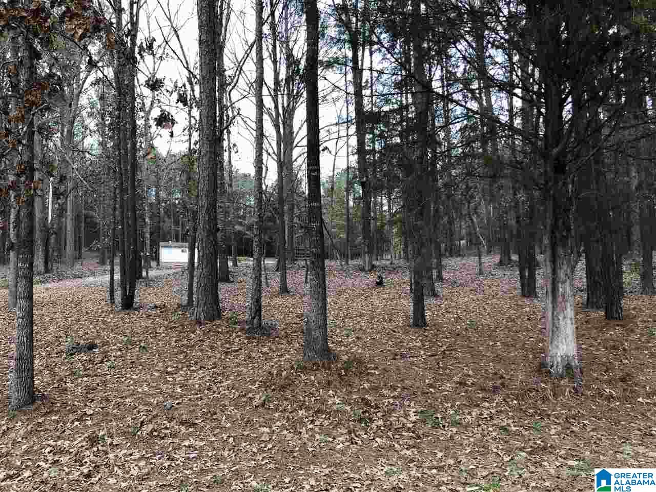 583 Race Track Road Centreville, AL 35042 - Photo 3 of 7