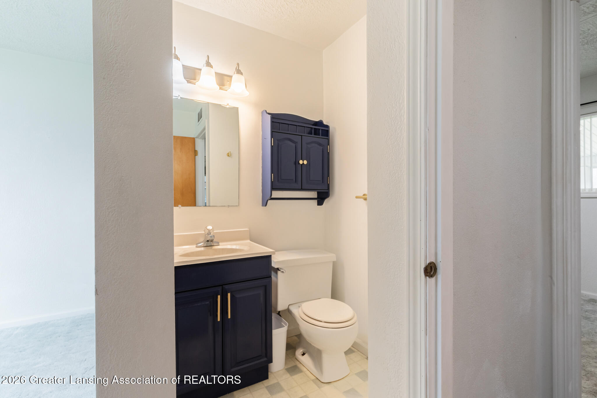 7741 South Cochran Road Olivet, MI 49076 - Photo 41 of 64 7741SCochran43
