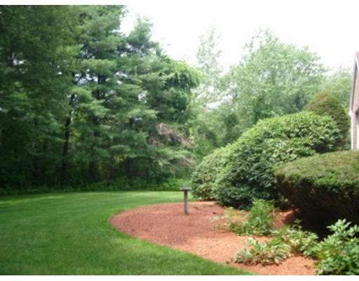 12 Paddock Lane Lexington, MA 02421 - Photo 5 of 18 a view of a park