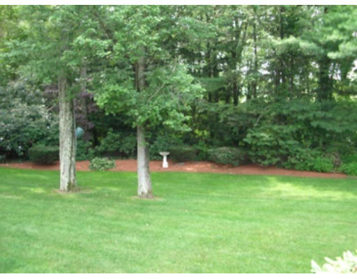 12 Paddock Lane Lexington, MA 02421 - Photo 10 of 18 a backyard of a house with lots of green space