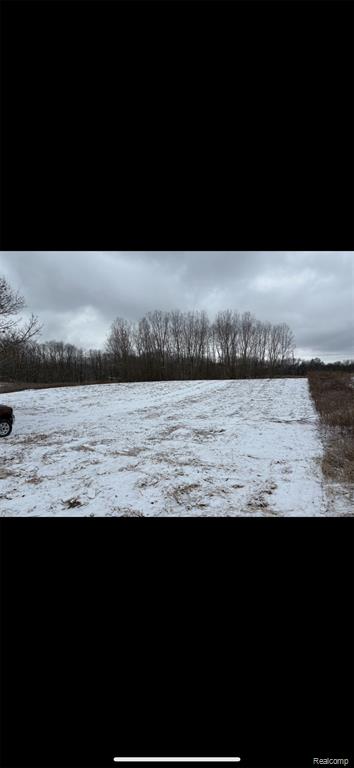 0 Pingree Road Howell, MI 48843 - Photo 6 of 6