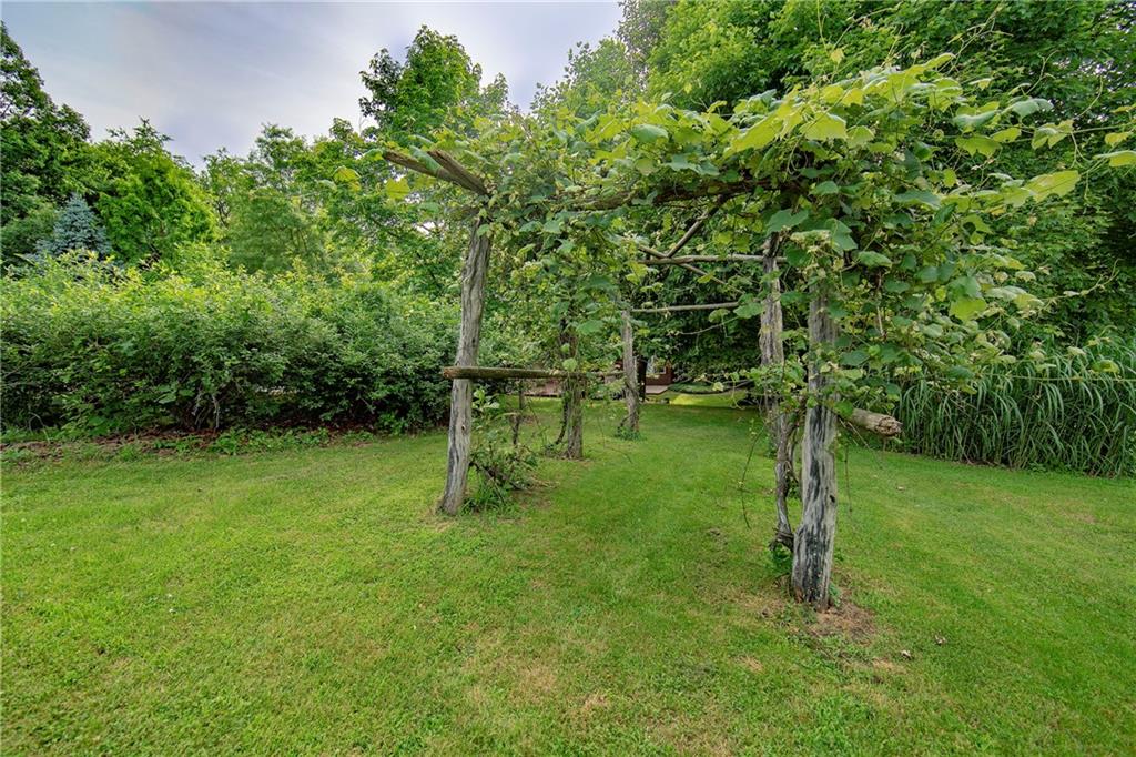1479 Three Degree Road Mars, PA 16046 - Photo 21 of 24 Grape arbors....large, mature blueberry bushes....the beauty just goes on and on!