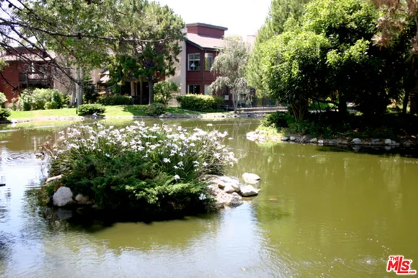 a front view of a house with a yard and a large tree